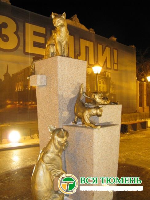 поговорим о кошках