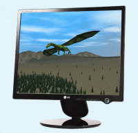3D Dragons