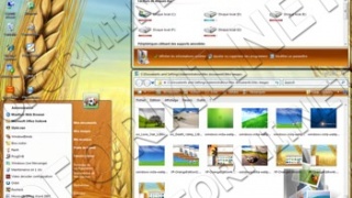 Vista Orange Edition