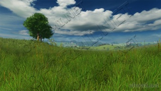 Grassland 3D