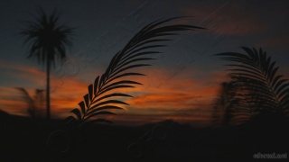Sway