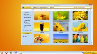 Office2010