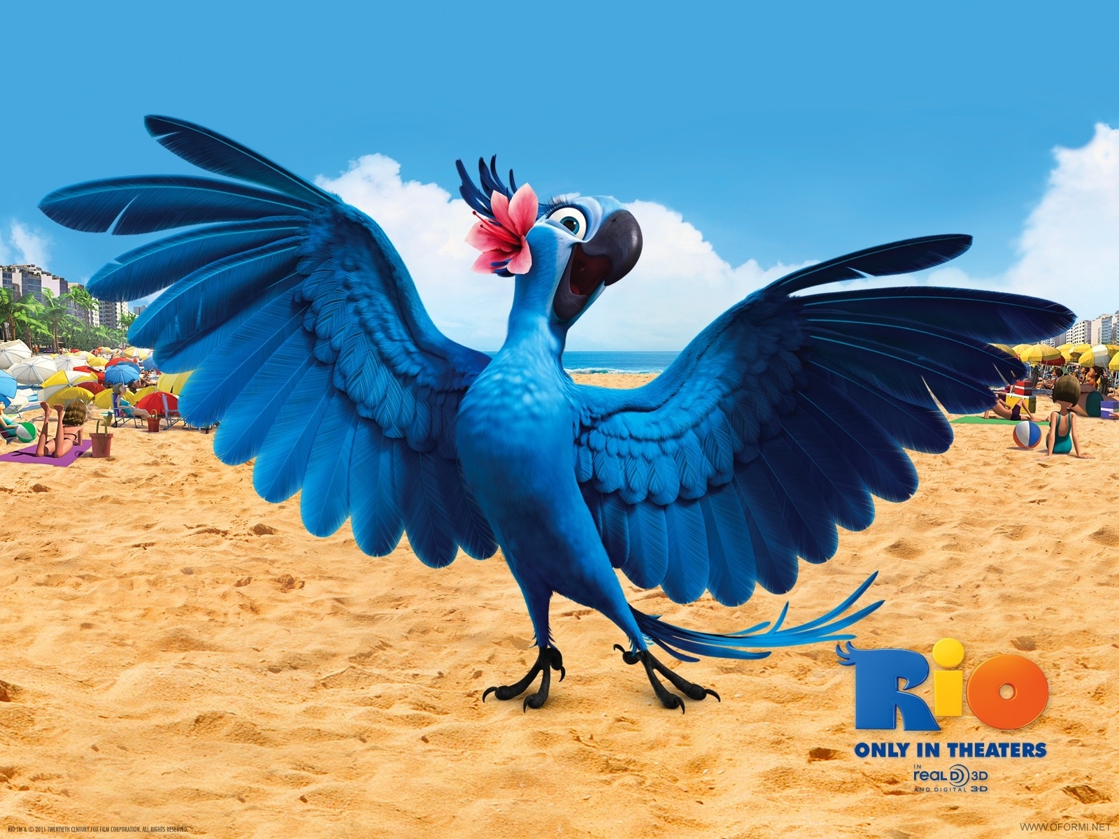 Про рио. Rio 2011. Рио 2. Рио / Rio (2011) Голубчик и Жемчужинка. Рио Жемчужинка Антро.