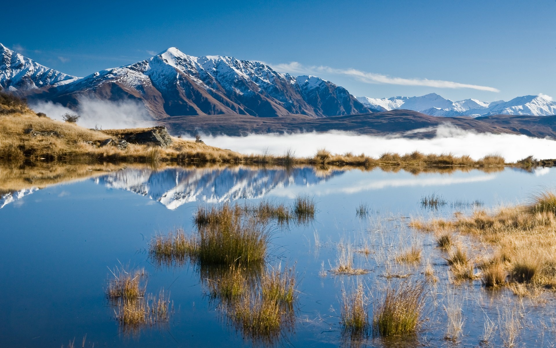 New zealand картинки