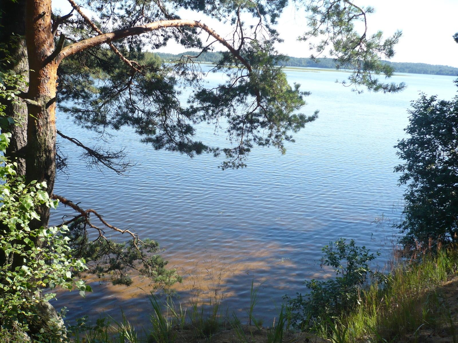 Большое Сосновое озеро фото