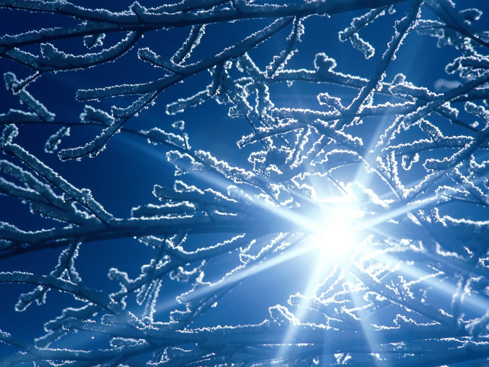 Отблеск » Природа » Обои для рабочего стола