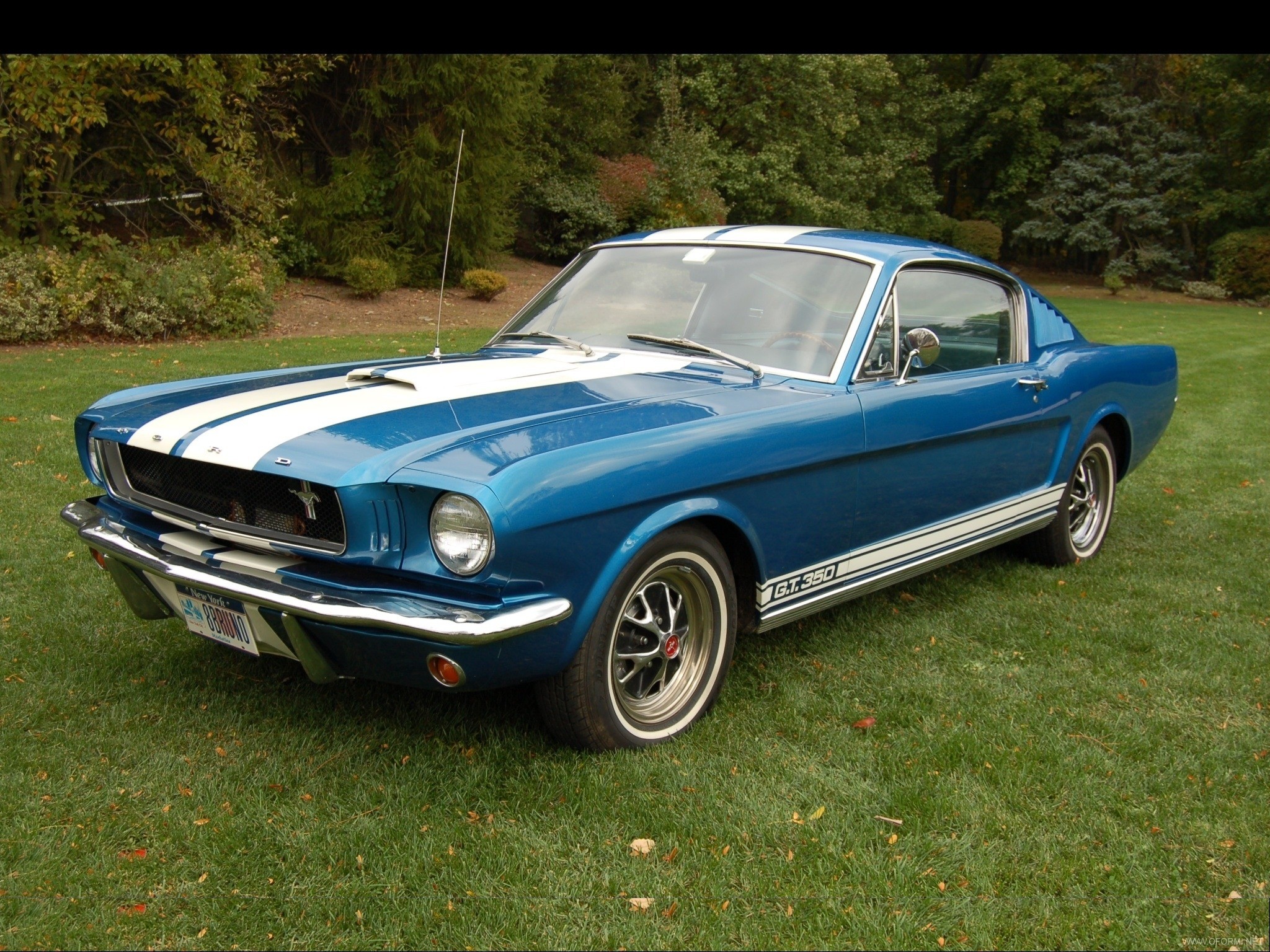 Informacion ford mustang 1965 #7