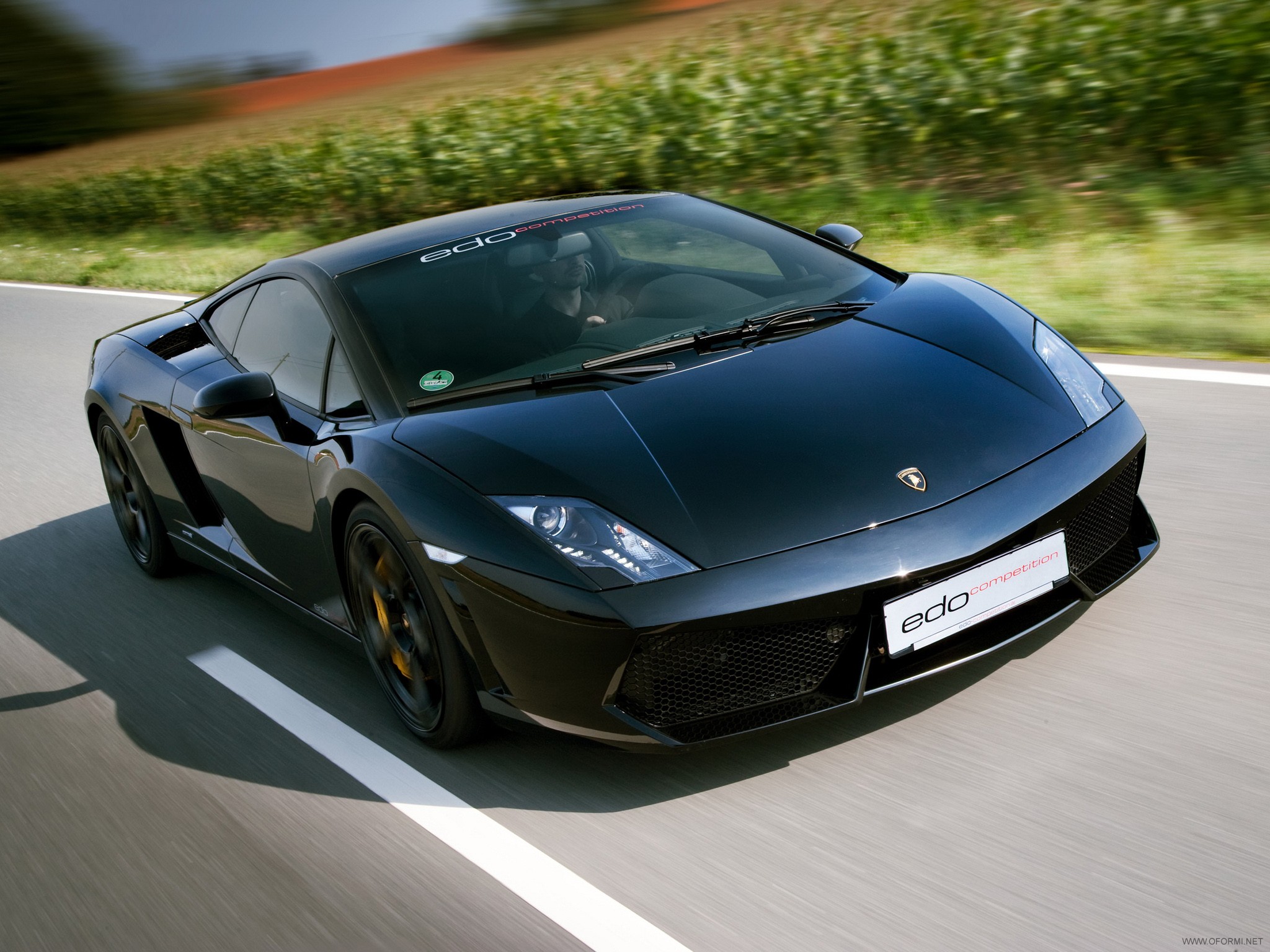 gallardo lamborghini