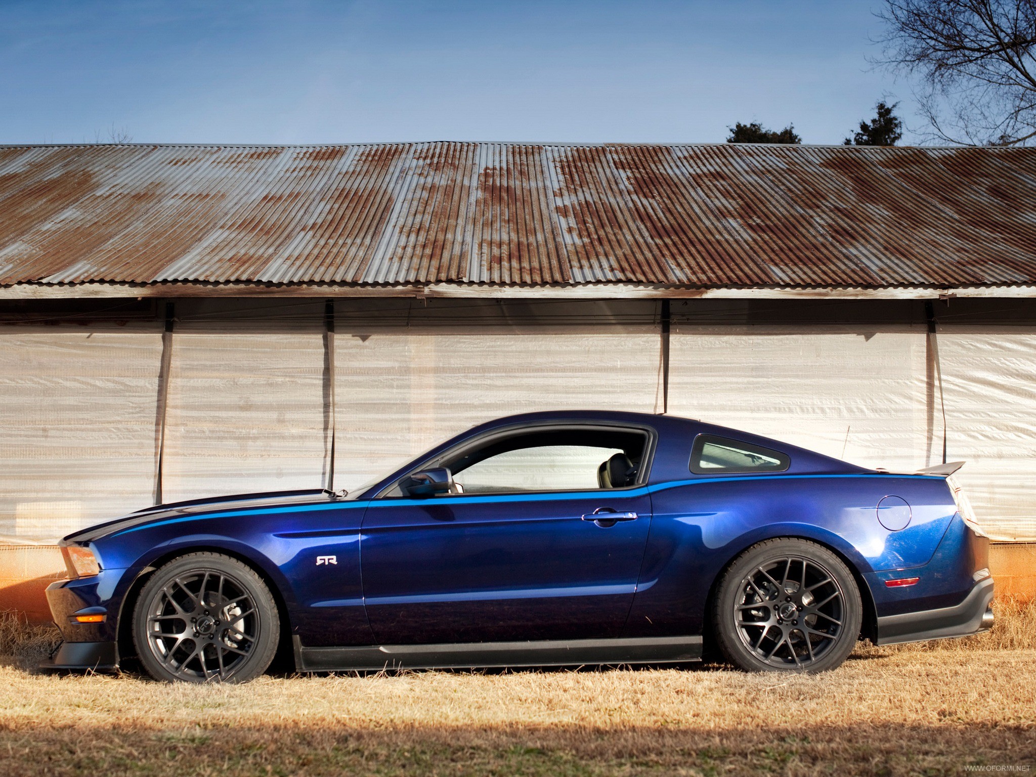 Ford mustang фото