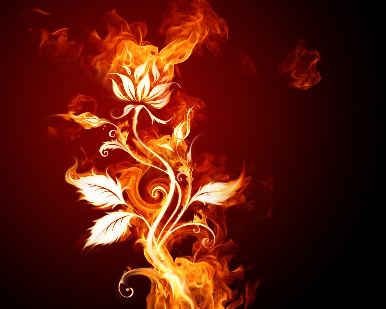 Стефани Блейк Огненные цветы. Красивый огонь. Огненные узоры.