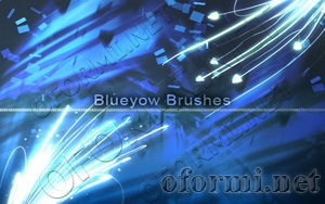 Bluyow Brushes