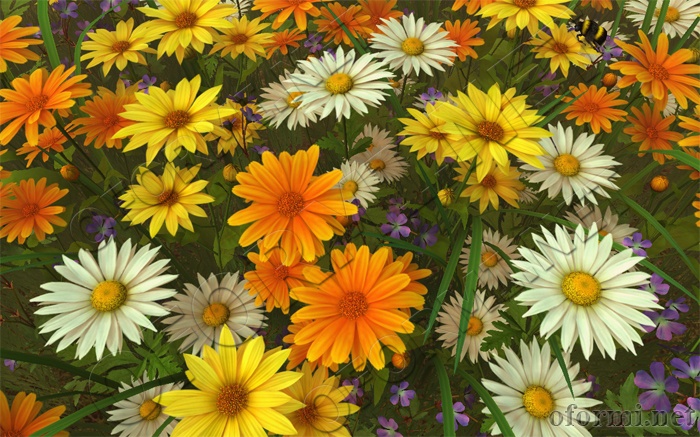Wildflowers screensaver